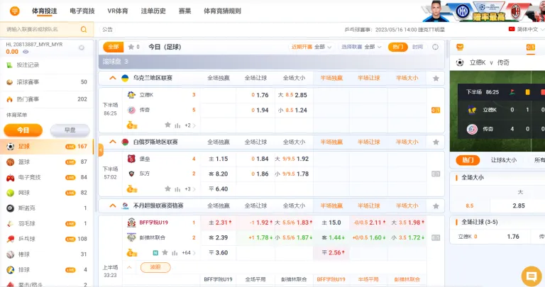 乐投体育投注